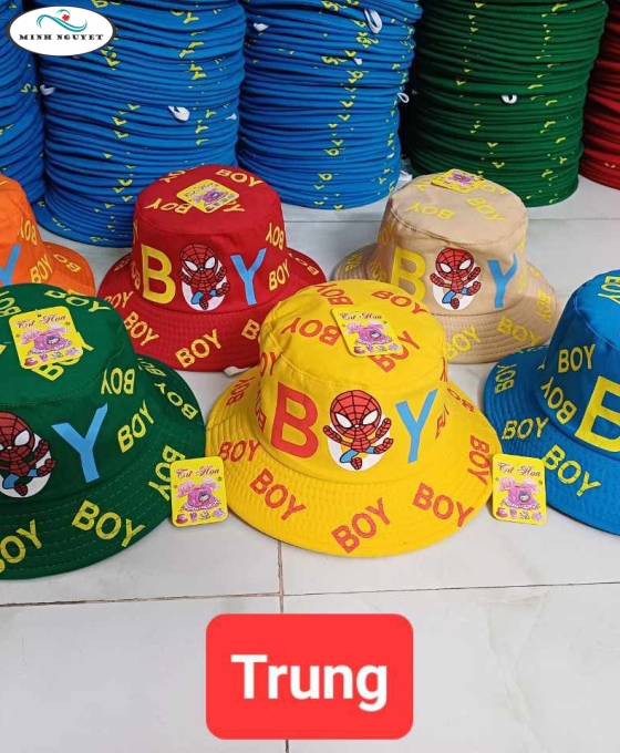 nón vành em bé thêu thiên nga