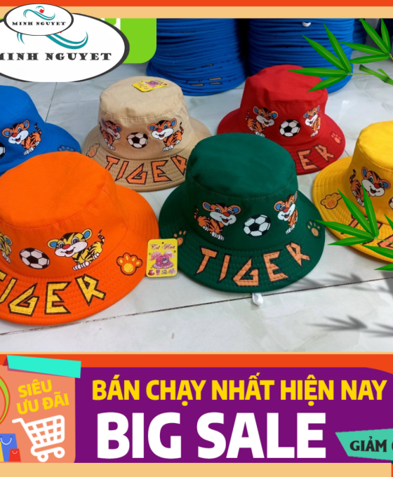 nón vành em bé in công chúa BABY
